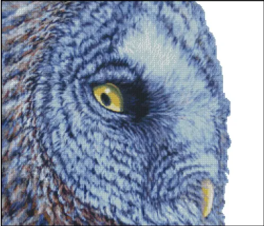 (image for) The Wise Eye